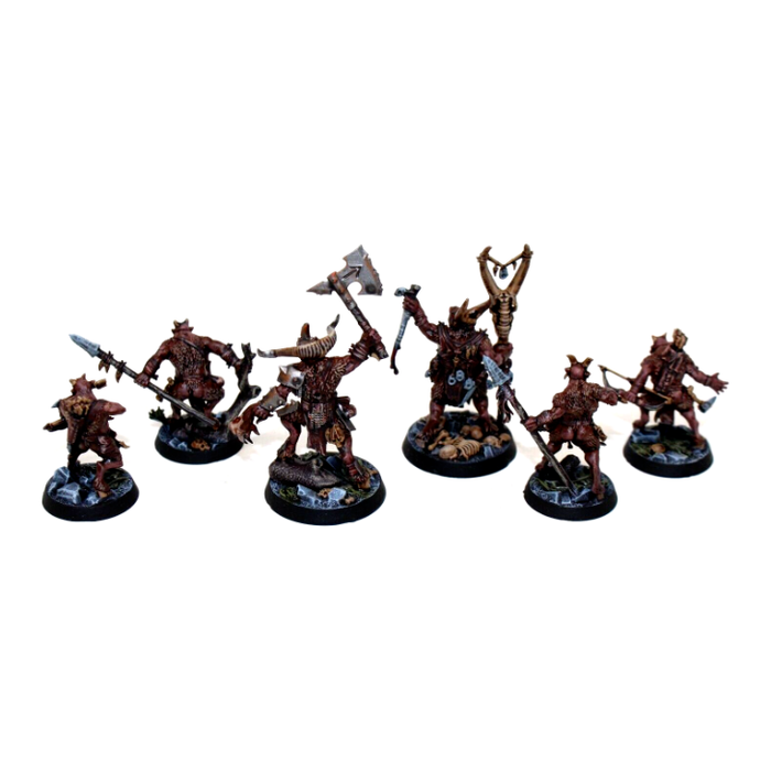 Warhammer Shadespire Beastmen Grashrak’s Despoilers - Tistaminis