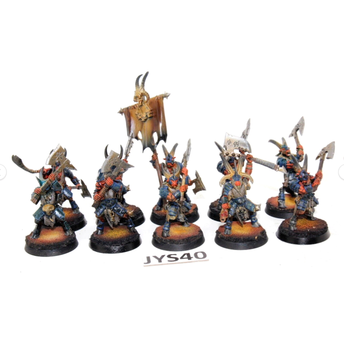 Warhammer Beastmen Bestigor Well Painted JYS40 - Tistaminis