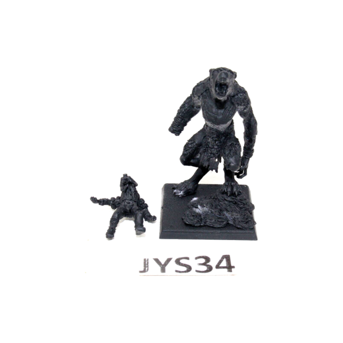 Warhammer Vampire Counts Werewolf JYS34