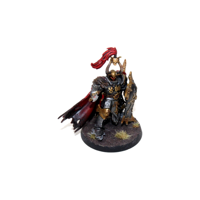 Warhammer Warriors of Chaos Slaves to Darkness Exalted Hero Well Painted JYS23