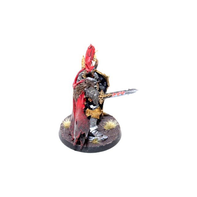 Warhammer Warriors of Chaos Slaves to Darkness Exalted Hero Well Painted JYS23