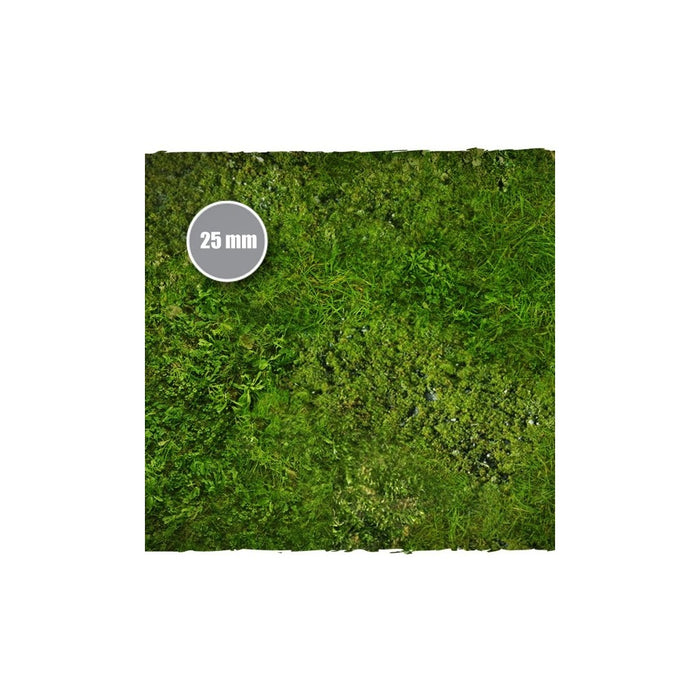 Deep Cut Studio Game Mat- Grass- Mousepad 4x6 feet New - Tistaminis