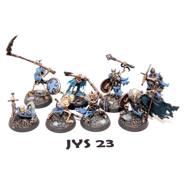 Warhammer Vampire Counts Sepulchral Guard Well Painted JYS23 - Tistaminis