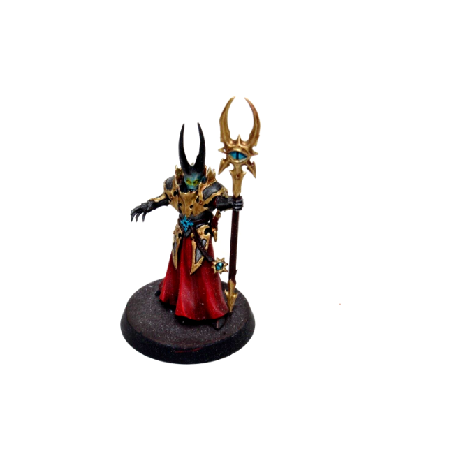 Warhammer Warriors of Chaos Slaves to Darkness Chaos Sorcerer Lord Well Painted JYS23