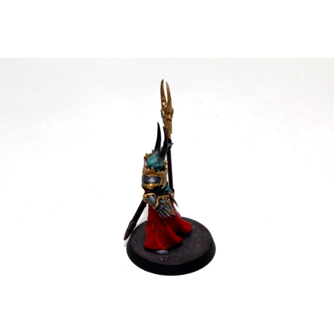 Warhammer Warriors of Chaos Slaves to Darkness Chaos Sorcerer Lord Well Painted JYS23