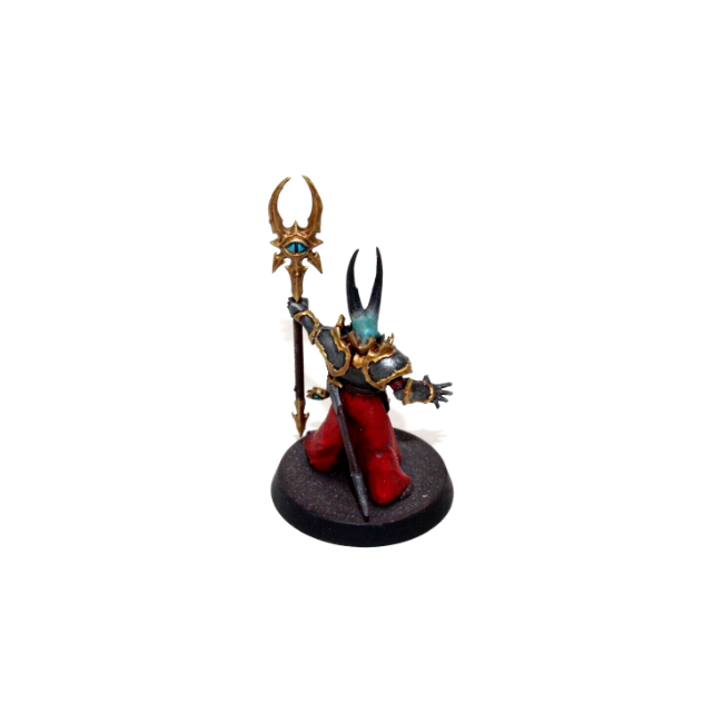 Warhammer Warriors of Chaos Slaves to Darkness Chaos Sorcerer Lord Well Painted JYS23