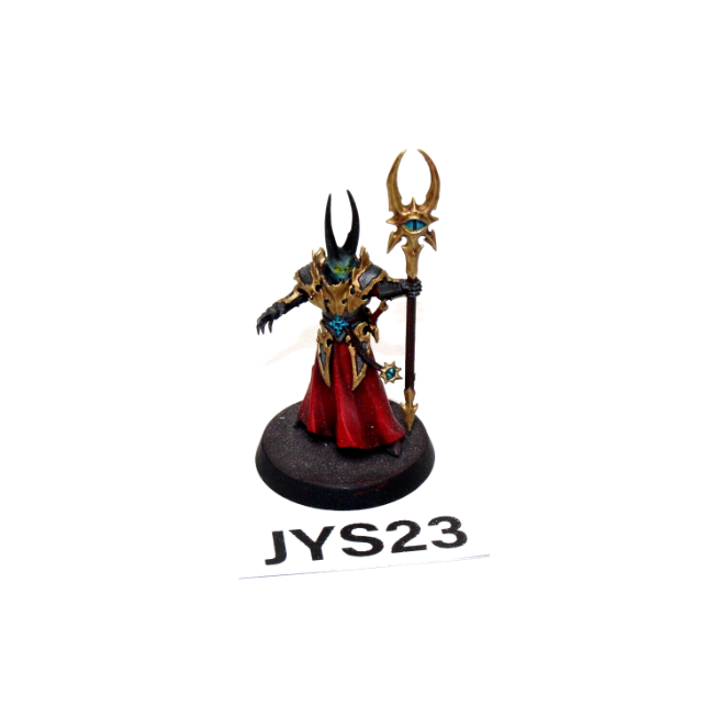 Warhammer Warriors of Chaos Slaves to Darkness Chaos Sorcerer Lord Well Painted JYS23