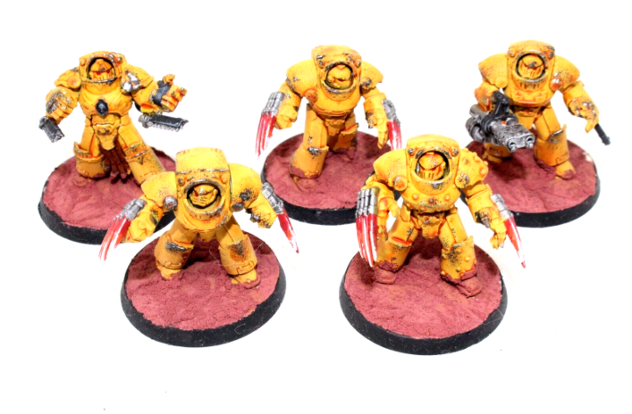 Warhammer Space Marines Terminators Well Painted JYS12