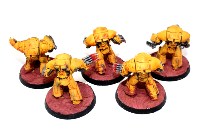 Warhammer Space Marines Terminators Well Painted JYS12