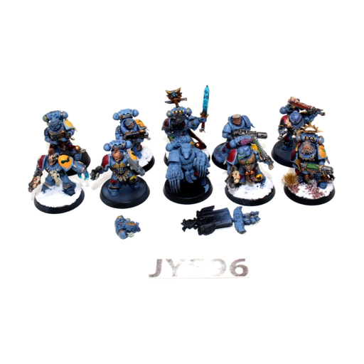 Warhammer Space Wolves Grey Hunters JYS96 - Tistaminis