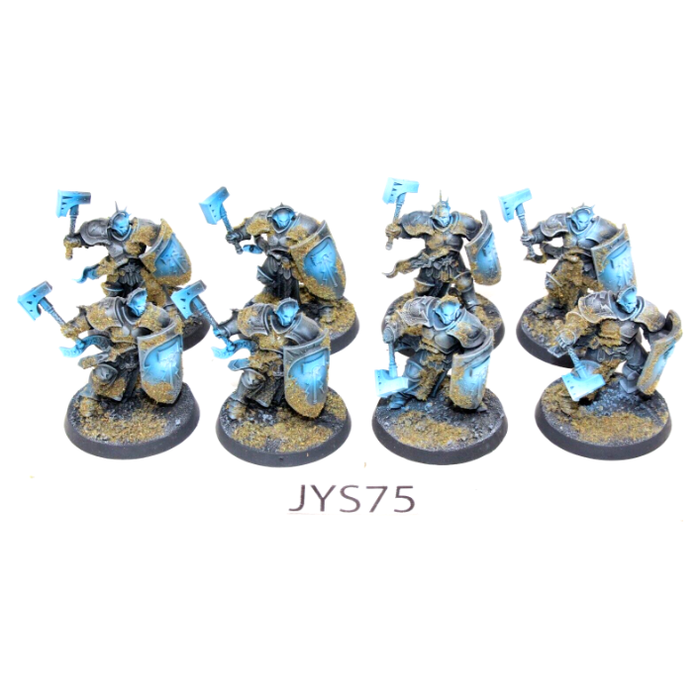 Warhammer Stormcast Eternals Liberators Well Painted JYS75