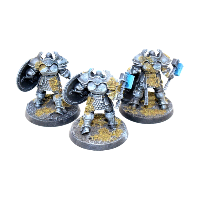 Warhammer Stormcast Eternals Anihillators Well Painted JYS75