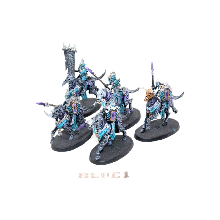 Warhammer Ossiarch Bonereapers Kavalos Deathriders Well Painted BLUE1 - Tistaminis