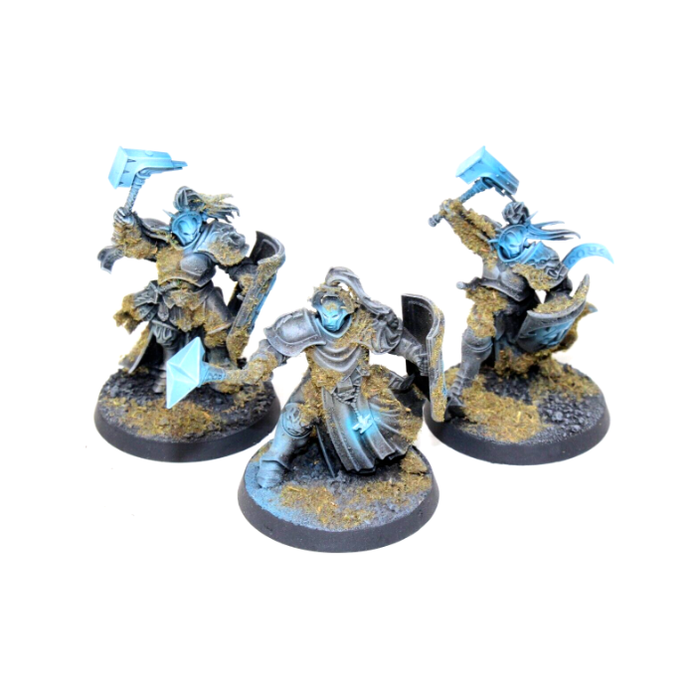 Warhammer Stormcast Eternals Sequitors Well Painted JYS75