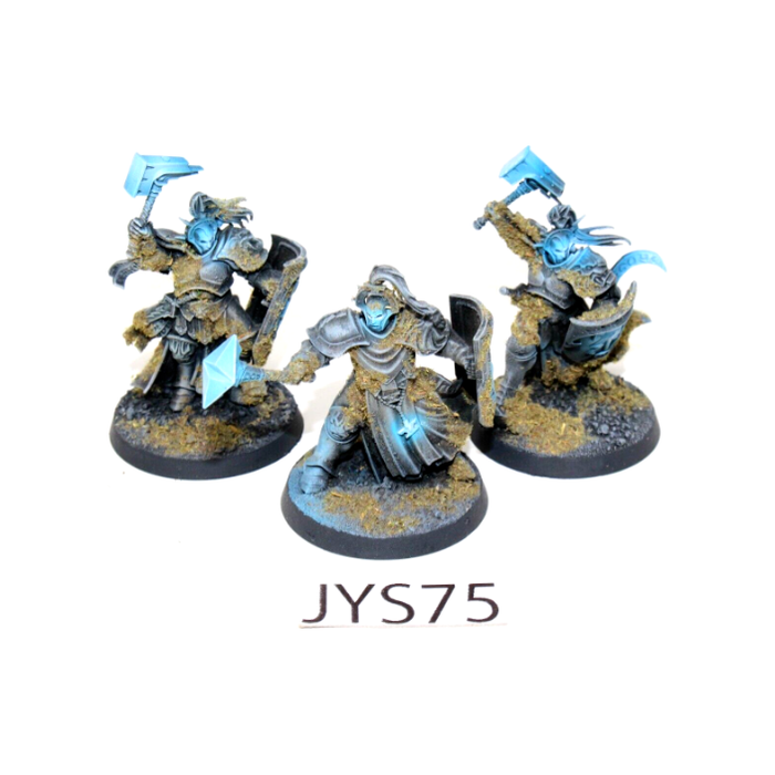 Warhammer Stormcast Eternals Sequitors Well Painted JYS75