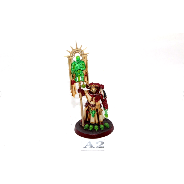 Warhammer Space Marines Bladeguard Ancient Well Painted A2 - Tistaminis