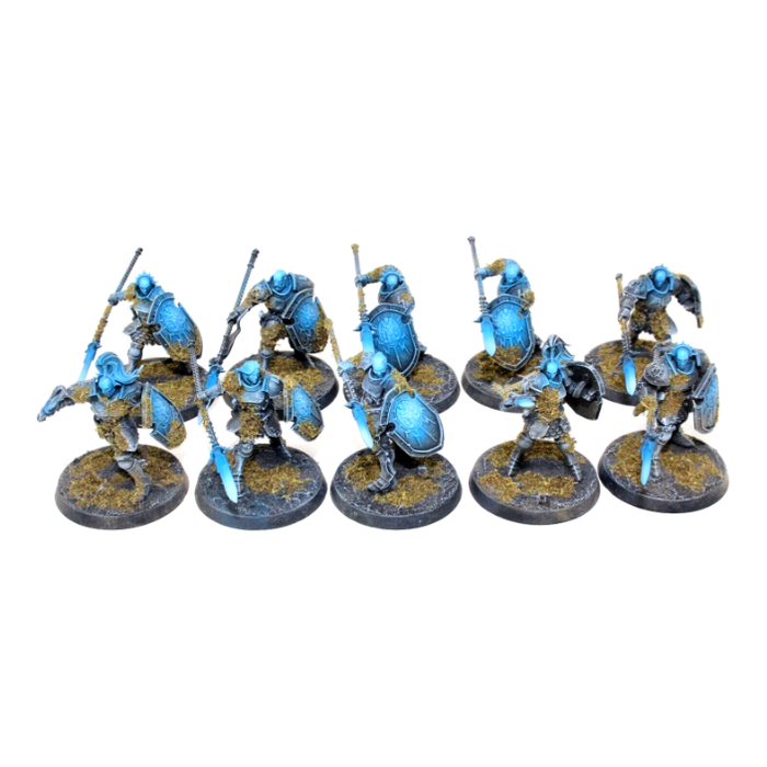 Warhammer Stormcast Eternals Vindictors Well Painted JYS75