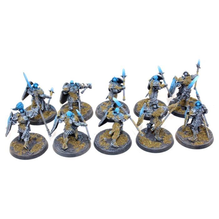 Warhammer Stormcast Eternals Vindictors Well Painted JYS75