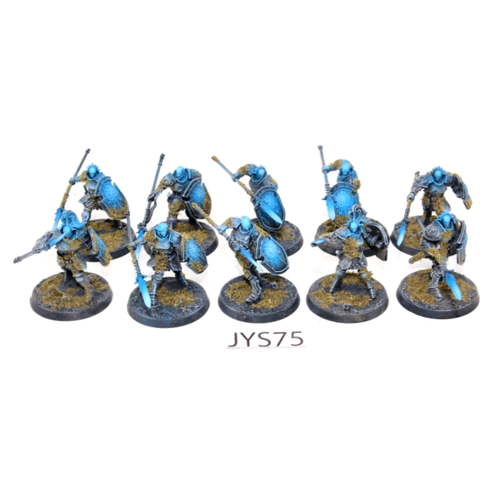 Warhammer Stormcast Eternals Vindictors Well Painted JYS75