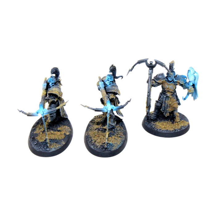 Warhammer Stormcast Eternals Vanguard Raptors Well Painted JYS76