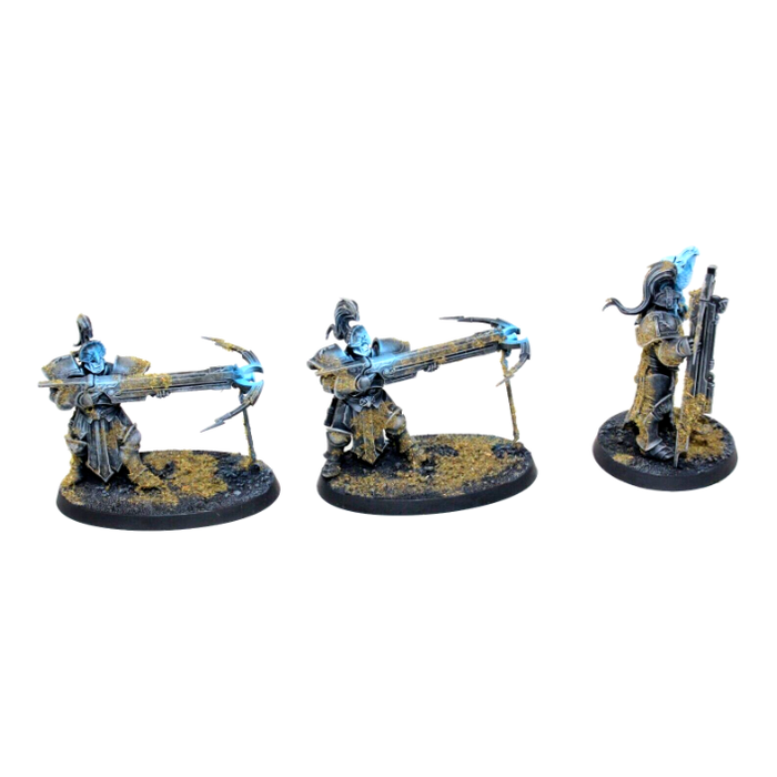 Warhammer Stormcast Eternals Vanguard Raptors Well Painted JYS76