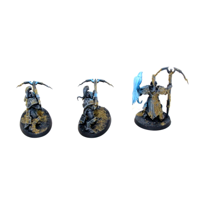 Warhammer Stormcast Eternals Vanguard Raptors Well Painted JYS76