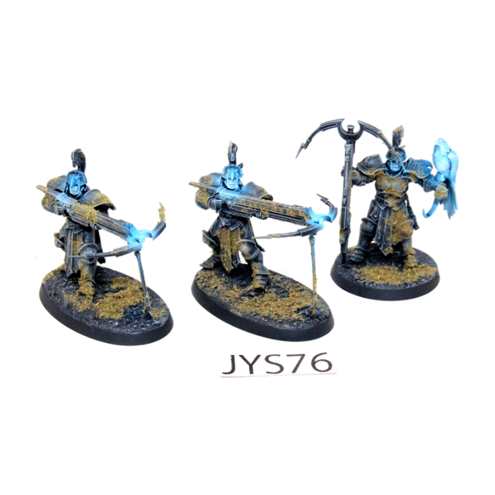 Warhammer Stormcast Eternals Vanguard Raptors Well Painted JYS76