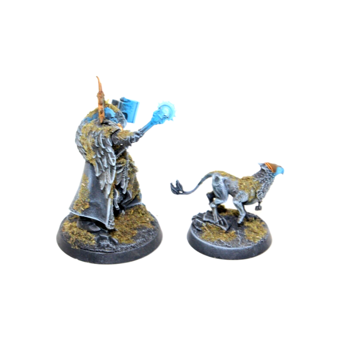 Warhammer Stormcast Eternals Lord Imperitant Well Painted JYS76