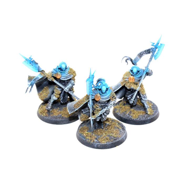 Warhammer Stormcast Eternals Praetors Well Painted JYS76