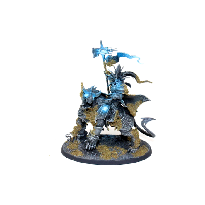 Warhammer Stormcast Eternals Vandus Hammerhand Well Painted JYS76