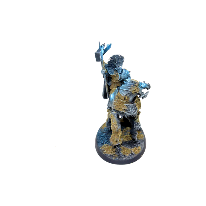 Warhammer Stormcast Eternals Vandus Hammerhand Well Painted JYS76