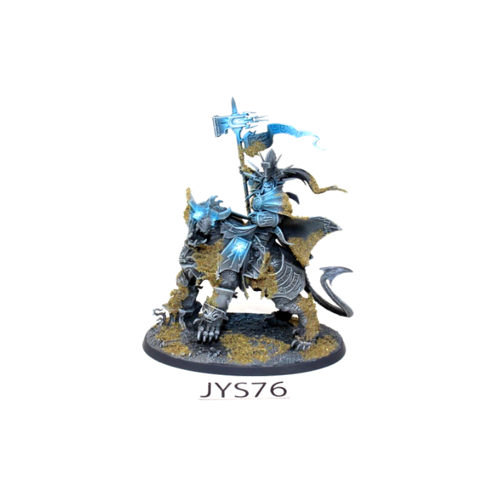 Warhammer Stormcast Eternals Vandus Hammerhand Well Painted JYS76