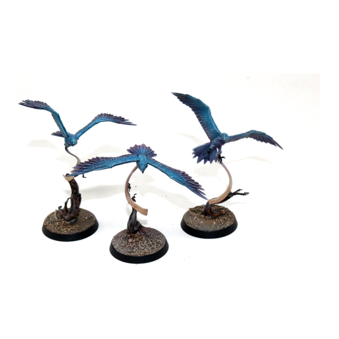 Warhammer Stormcast Eternals Aetherwings Well Painted JYS77