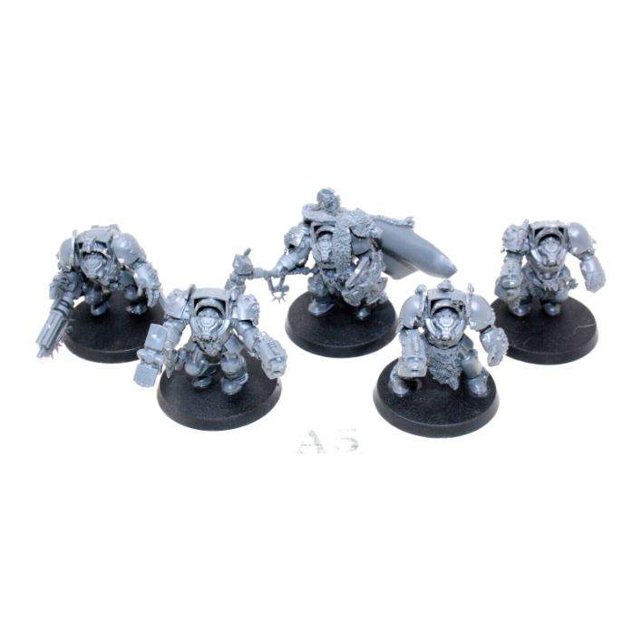 Warhammer Space Wolves Terminator Squad A5 - Tistaminis
