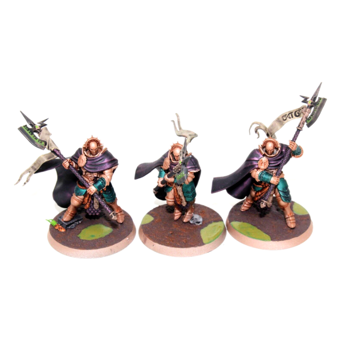 Warhammer Stormcast Eternals Praetors Well Painted JYS12 - Tistaminis