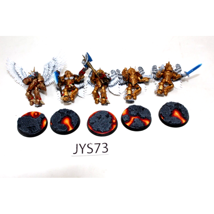 Warhammer Blood Angels Sanguinary Guard JYS73 - Tistaminis