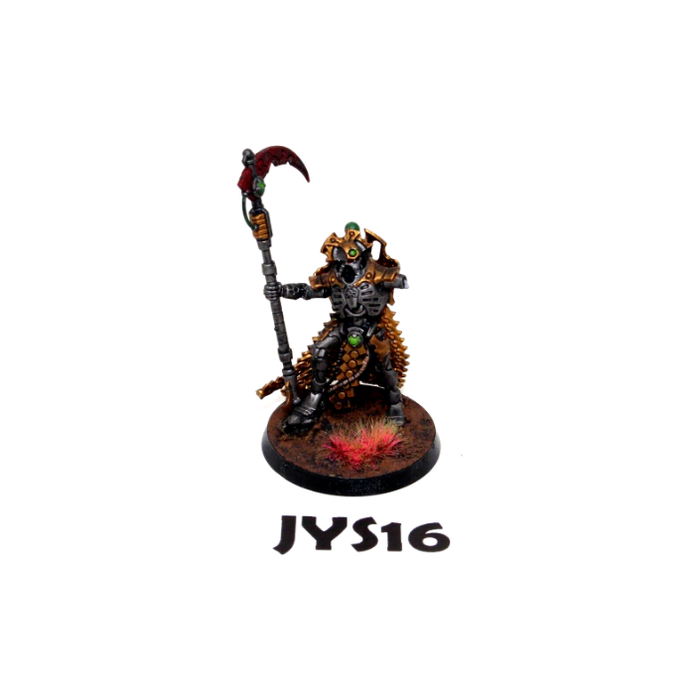 Warhammer Necrons Overlord Well Painted JYS16 - Tistaminis