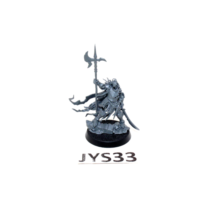 Warhammer Vampire Counts Soulblight Gravelords Captain Halgrim JYS33