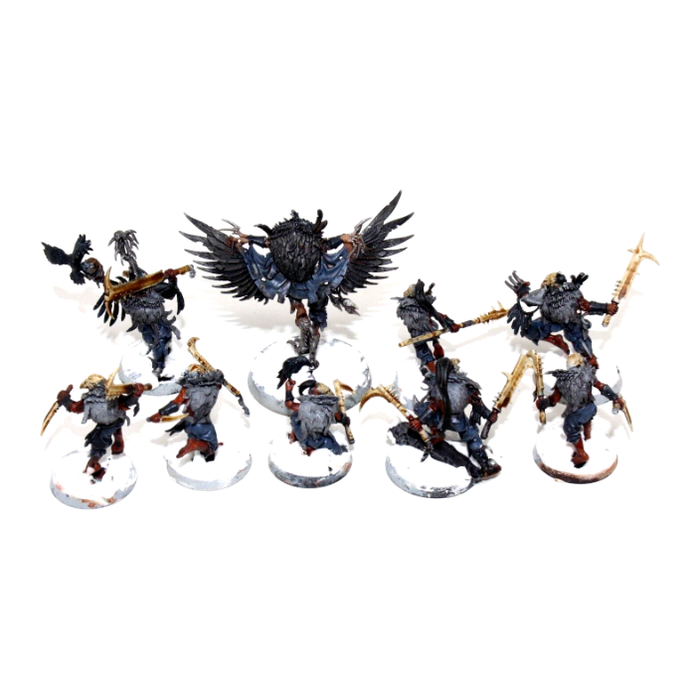 Warhammer Warcry Corvus Cabal Well Painted JYS86