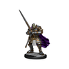 Dungeons and Dragons Nolzur's Marvelous Miniatures:Wave 15:Half-Orc Paladin Male - Tistaminis