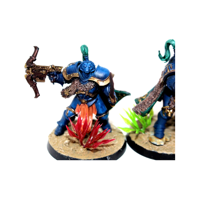 Warhammer Stormcast Eternals Vanguard Hunters Well Painted JYS47 - Tistaminis