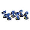 Warhammer Space Marines Tactical Marines Well Painted A6 - Tistaminis