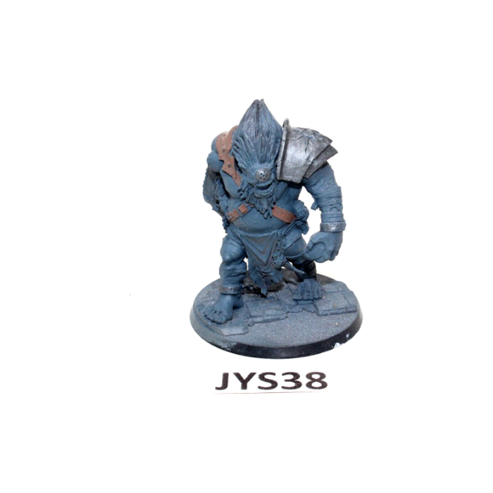 Warhammer Warriors of Chaos Slaves to Darkness Fomoroid Crusher JYS38