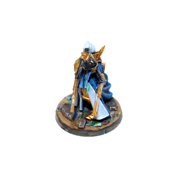 Warhammer Stormcast Eternals Averon Stomsire Well Painted JYS33