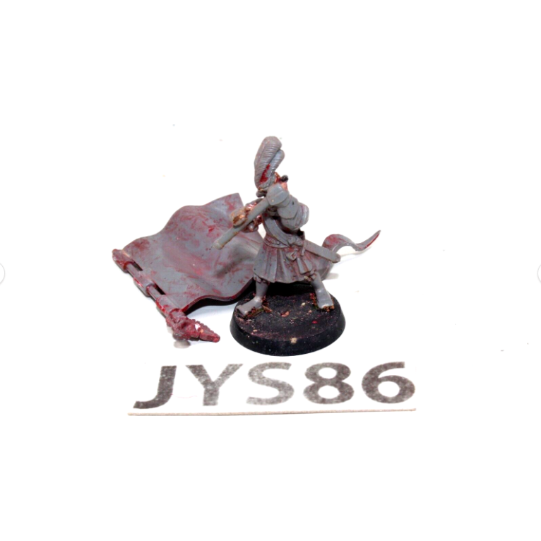 Warhammer Empire Standard Bearer JYS86 - Tistaminis