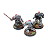 Warhammer Assorted Space Marines Well Painted JYS26 - Tistaminis