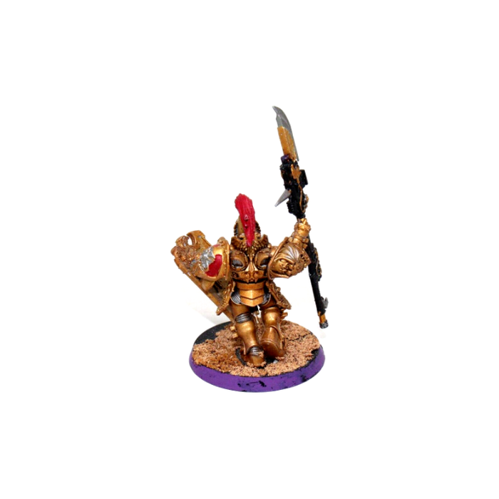 Warhammer Adeptus Custodes Shield-Captain Well Painted JYS95