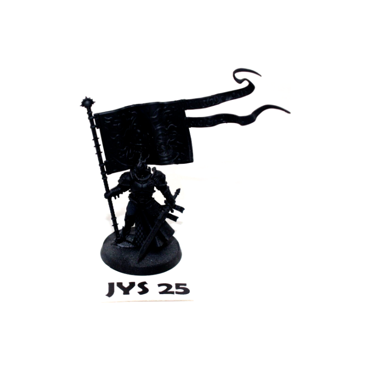 Warhammer Stormcast Eternals Knight-Vexillor with Banner JYS25 - Tistaminis