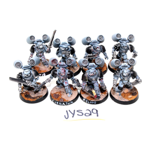 Warhammer Space Marines Vanguard Veterans Well Painted JYS29 - Tistaminis