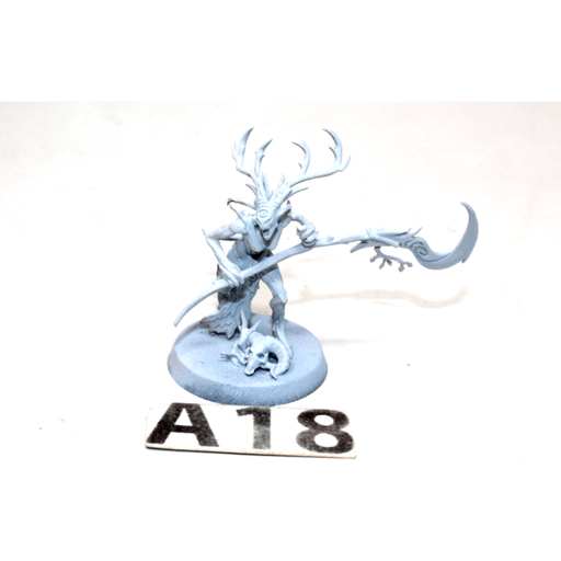 Warhammer Wood Elves Branchwych A18 - Tistaminis